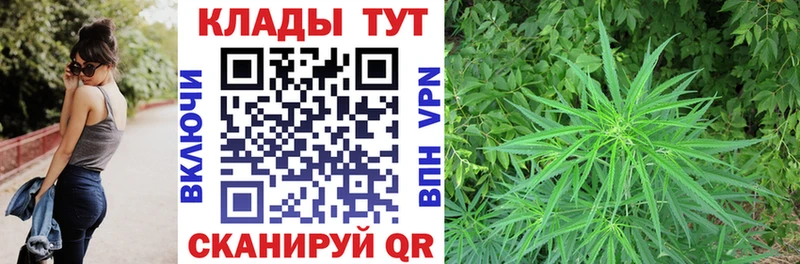 Купить наркотики сайты Новоалтайск Конопля blacksprut ONION Гашиш СК