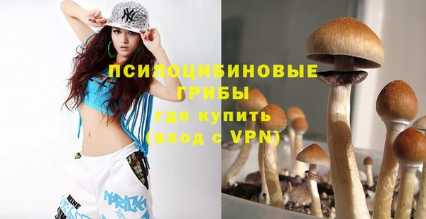 винт Михайлов