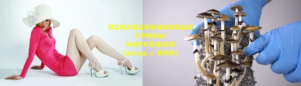 стафф Михайловка
