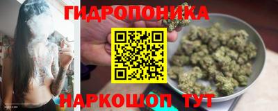 прущие крисы Гатчина