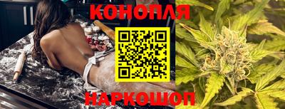 прущие крисы Гатчина