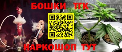 прущие крисы Гатчина
