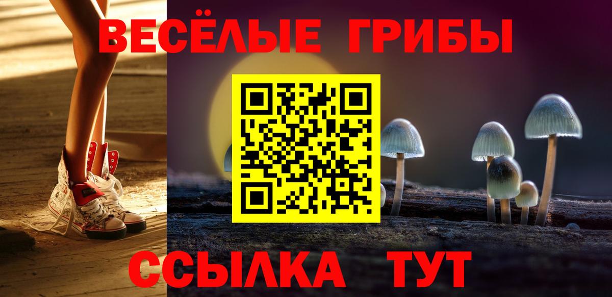 Псилоцибиновые грибы MAGIC MUSHROOMS  Вход с VPN  Новоалтайск 