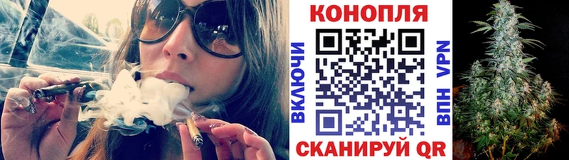 Бошки Шишки семена  Новоалтайск 